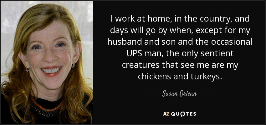 I work at home, in the country, and days will go by when, except for my husband and son and the occasional UPS man, the only sentient creatures that see me are my chickens and turkeys. - Susan Orlean
