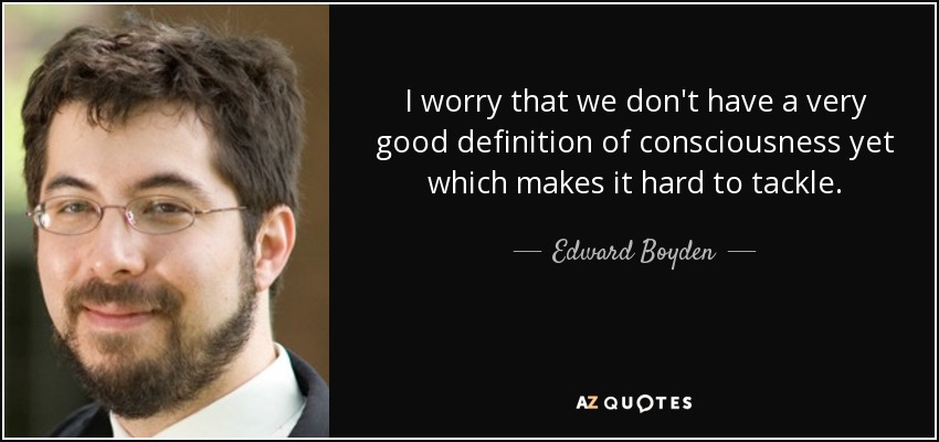 I worry that we don't have a very good definition of consciousness yet which makes it hard to tackle. - Edward Boyden