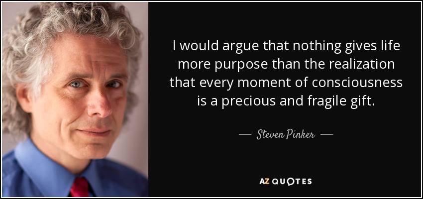 I would argue that nothing gives life more purpose than the realization that every moment of consciousness is a precious and fragile gift. - Steven Pinker