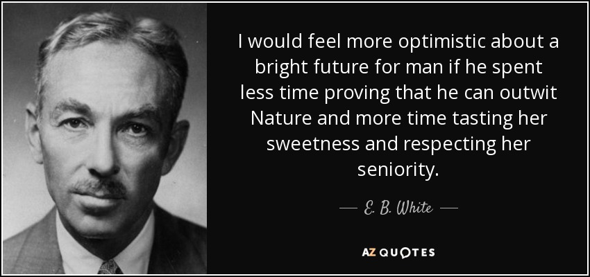 I would feel more optimistic about a bright future for man if he spent less time proving that he can outwit Nature and more time tasting her sweetness and respecting her seniority. - E. B. White