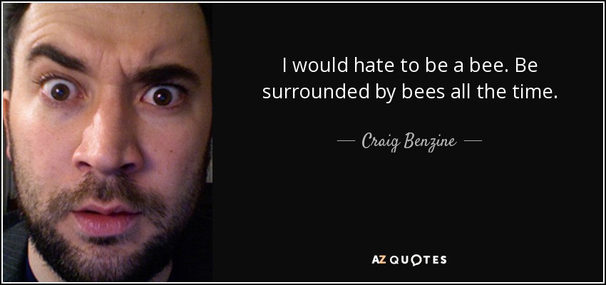 I would hate to be a bee. Be surrounded by bees all the time. - Craig Benzine