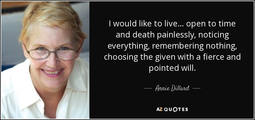 I would like to live. . . open to time and death painlessly, noticing everything, remembering nothing, choosing the given with a fierce and pointed will. - Annie Dillard