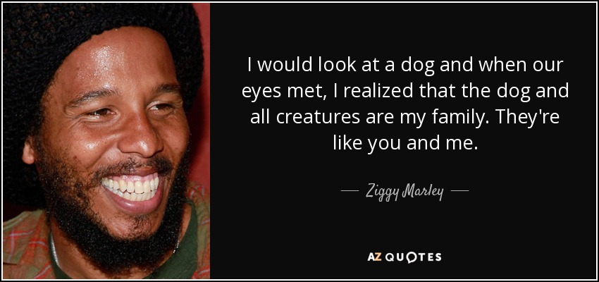 I would look at a dog and when our eyes met, I realized that the dog and all creatures are my family. They're like you and me. - Ziggy Marley