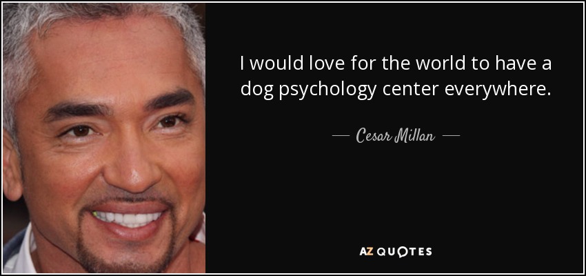 I would love for the world to have a dog psychology center everywhere. - Cesar Millan