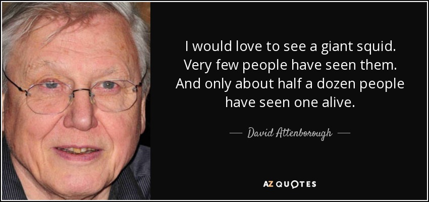 I would love to see a giant squid. Very few people have seen them. And only about half a dozen people have seen one alive. - David Attenborough