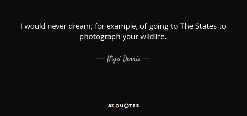 I would never dream, for example, of going to The States to photograph your wildlife. - Nigel Dennis