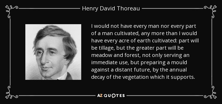 I would not have every man nor every part of a man cultivated, any more than I would have every acre of earth cultivated: part will be tillage, but the greater part will be meadow and forest, not only serving an immediate use, but preparing a mould against a distant future, by the annual decay of the vegetation which it supports. - Henry David Thoreau
