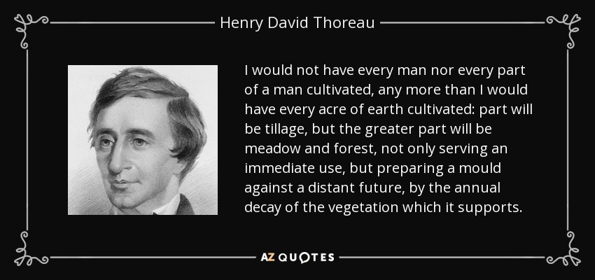 I would not have every man nor every part of a man cultivated, any more than I would have every acre of earth cultivated: part will be tillage, but the greater part will be meadow and forest, not only serving an immediate use, but preparing a mould against a distant future, by the annual decay of the vegetation which it supports. - Henry David Thoreau