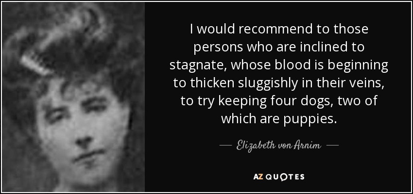I would recommend to those persons who are inclined to stagnate, whose blood is beginning to thicken sluggishly in their veins, to try keeping four dogs, two of which are puppies. - Elizabeth von Arnim
