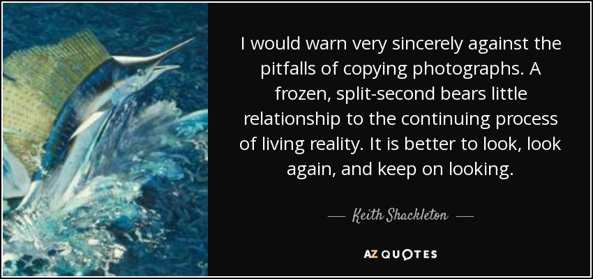 I would warn very sincerely against the pitfalls of copying photographs. A frozen, split-second bears little relationship to the continuing process of living reality. It is better to look, look again, and keep on looking. - Keith Shackleton