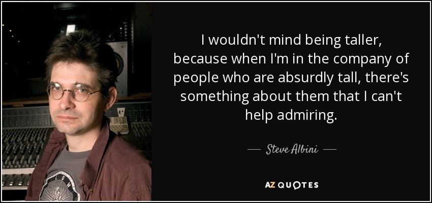 I wouldn't mind being taller, because when I'm in the company of people who are absurdly tall, there's something about them that I can't help admiring. - Steve Albini
