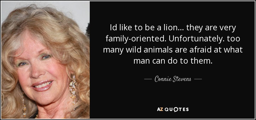 Id like to be a lion... they are very family-oriented. Unfortunately. too many wild animals are afraid at what man can do to them. - Connie Stevens