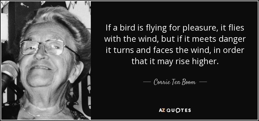 If a bird is flying for pleasure, it flies with the wind, but if it meets danger it turns and faces the wind, in order that it may rise higher. - Corrie Ten Boom