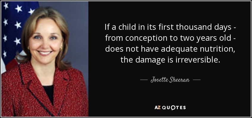 If a child in its first thousand days - from conception to two years old - does not have adequate nutrition, the damage is irreversible. - Josette Sheeran