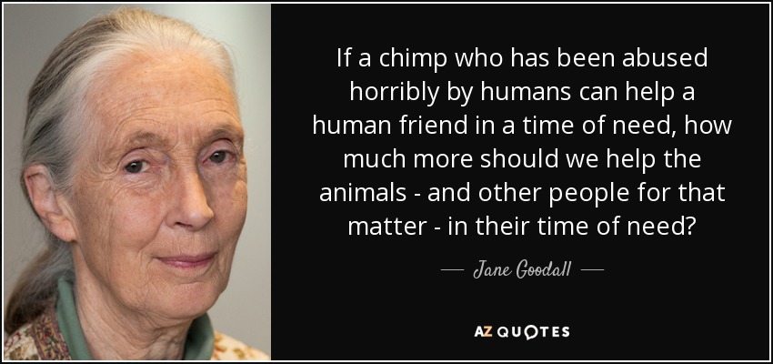 If a chimp who has been abused horribly by humans can help a human friend in a time of need, how much more should we help the animals - and other people for that matter - in their time of need? - Jane Goodall