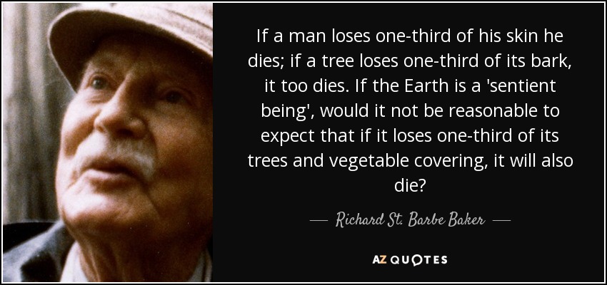 If a man loses one-third of his skin he dies; if a tree loses one-third of its bark, it too dies. If the Earth is a 'sentient being', would it not be reasonable to expect that if it loses one-third of its trees and vegetable covering, it will also die? - Richard St. Barbe Baker