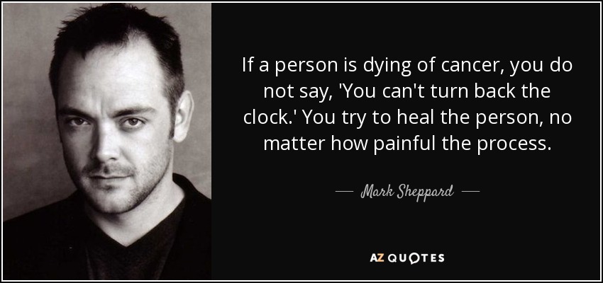 If a person is dying of cancer, you do not say, 'You can't turn back the clock.' You try to heal the person, no matter how painful the process. - Mark Sheppard
