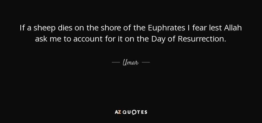 If a sheep dies on the shore of the Euphrates I fear lest Allah ask me to account for it on the Day of Resurrection. - Umar