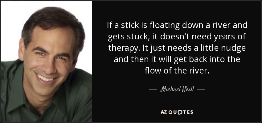 If a stick is floating down a river and gets stuck, it doesn't need years of therapy. It just needs a little nudge and then it will get back into the flow of the river. - Michael Neill