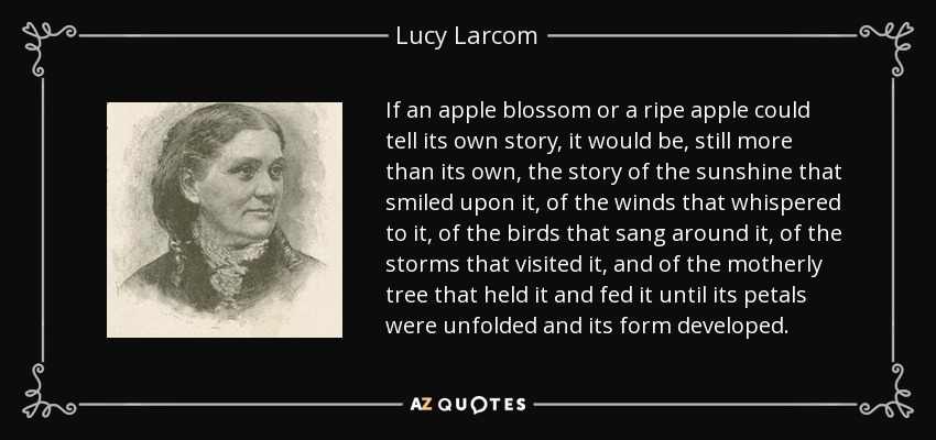 If an apple blossom or a ripe apple could tell its own story, it would be, still more than its own, the story of the sunshine that smiled upon it, of the winds that whispered to it, of the birds that sang around it, of the storms that visited it, and of the motherly tree that held it and fed it until its petals were unfolded and its form developed. - Lucy Larcom