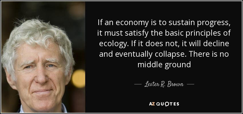 If an economy is to sustain progress, it must satisfy the basic principles of ecology. If it does not, it will decline and eventually collapse. There is no middle ground - Lester R. Brown