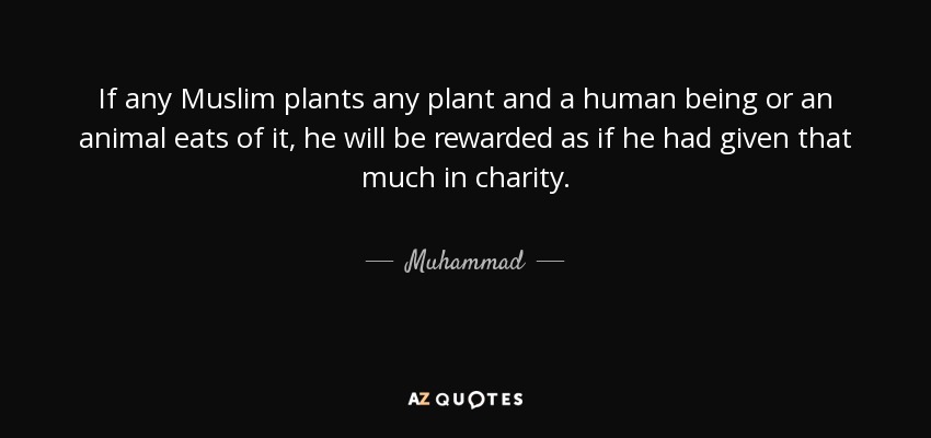 If any Muslim plants any plant and a human being or an animal eats of it, he will be rewarded as if he had given that much in charity. - Muhammad
