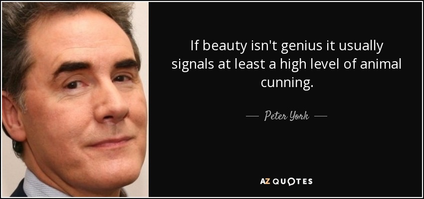 If beauty isn't genius it usually signals at least a high level of animal cunning. - Peter York