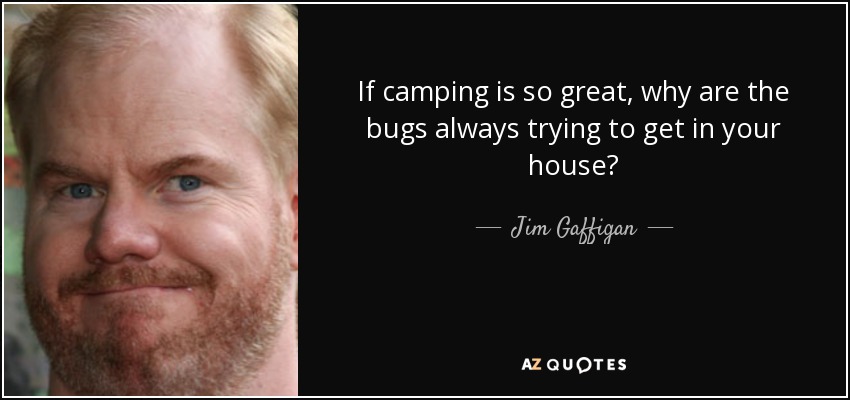 If camping is so great, why are the bugs always trying to get in your house? - Jim Gaffigan