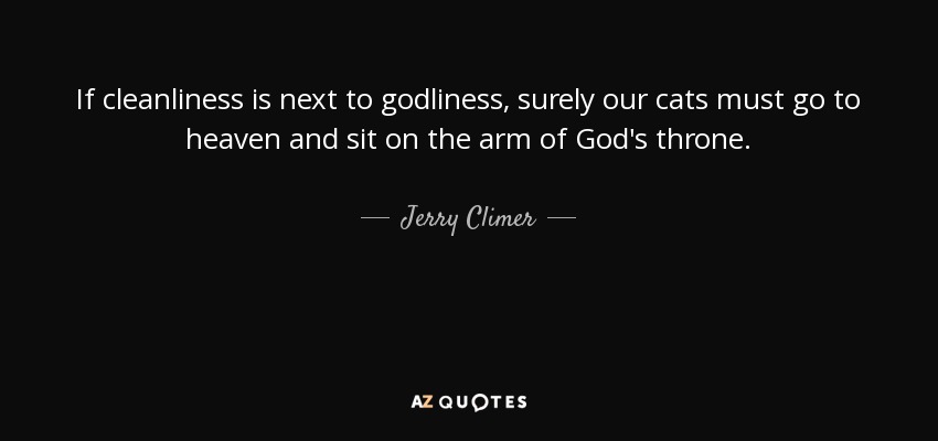 If cleanliness is next to godliness, surely our cats must go to heaven and sit on the arm of God's throne. - Jerry Climer