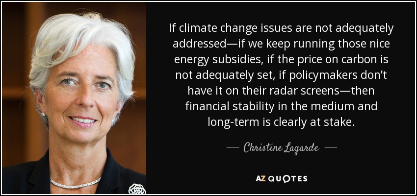 If climate change issues are not adequately addressed—if we keep running those nice energy subsidies, if the price on carbon is not adequately set, if policymakers don’t have it on their radar screens—then financial stability in the medium and long-term is clearly at stake. - Christine Lagarde