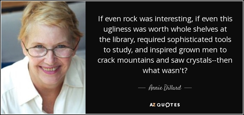 If even rock was interesting, if even this ugliness was worth whole shelves at the library, required sophisticated tools to study, and inspired grown men to crack mountains and saw crystals--then what wasn't? - Annie Dillard