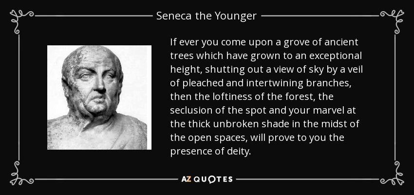 If ever you come upon a grove of ancient trees which have grown to an exceptional height, shutting out a view of sky by a veil of pleached and intertwining branches, then the loftiness of the forest, the seclusion of the spot and your marvel at the thick unbroken shade in the midst of the open spaces, will prove to you the presence of deity. - Seneca the Younger