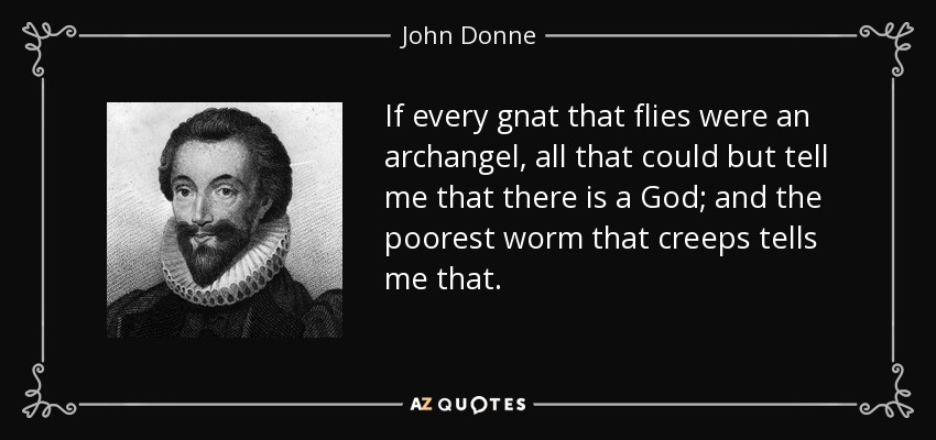 If every gnat that flies were an archangel, all that could but tell me that there is a God; and the poorest worm that creeps tells me that. - John Donne