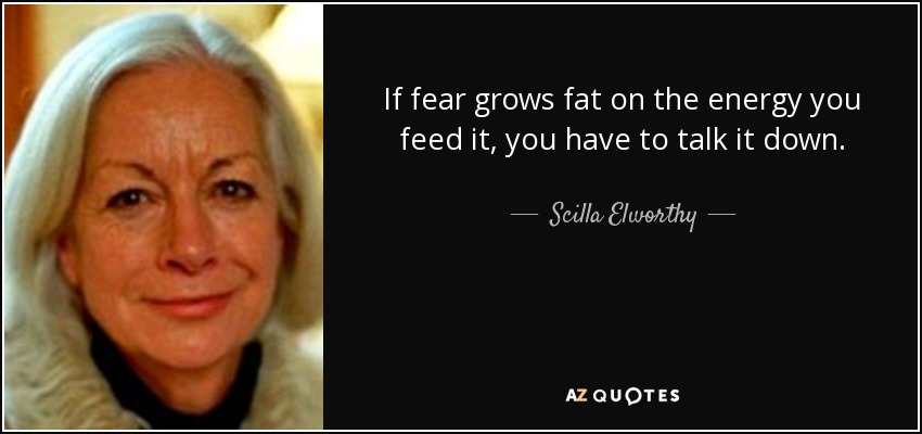 If fear grows fat on the energy you feed it, you have to talk it down. - Scilla Elworthy