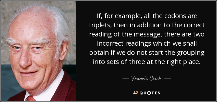 If, for example, all the codons are triplets, then in addition to the correct reading of the message, there are two incorrect readings which we shall obtain if we do not start the grouping into sets of three at the right place. - Francis Crick