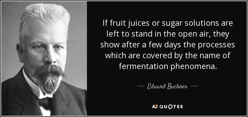 If fruit juices or sugar solutions are left to stand in the open air, they show after a few days the processes which are covered by the name of fermentation phenomena. - Eduard Buchner