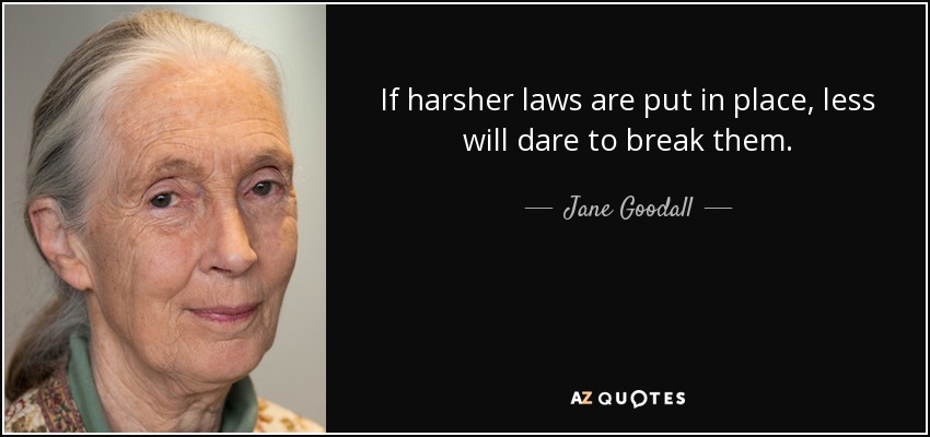 If harsher laws are put in place, less will dare to break them. - Jane Goodall