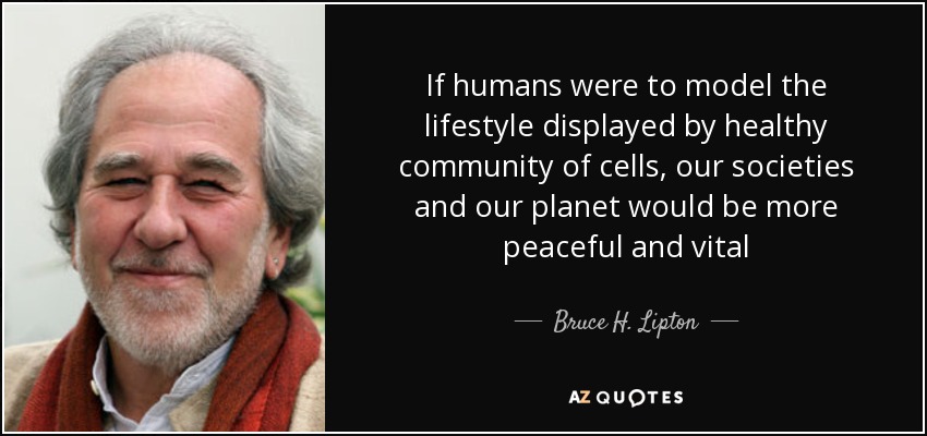 If humans were to model the lifestyle displayed by healthy community of cells , our societies and our planet would be more peaceful and vital - Bruce H. Lipton
