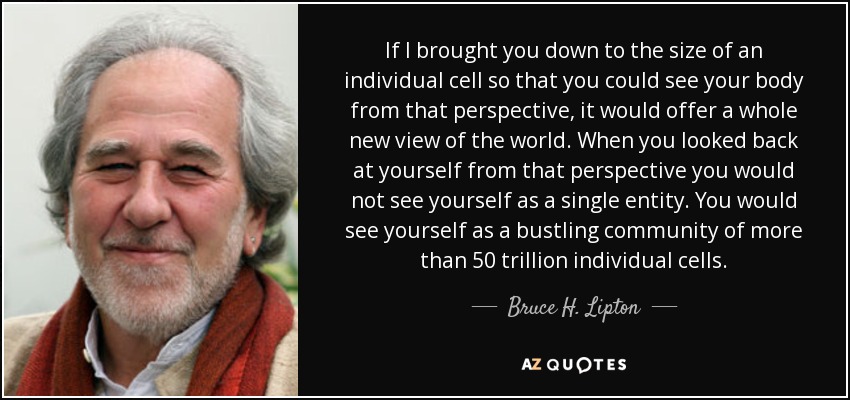 If I brought you down to the size of an individual cell so that you could see your body from that perspective, it would offer a whole new view of the world. When you looked back at yourself from that perspective you would not see yourself as a single entity. You would see yourself as a bustling community of more than 50 trillion individual cells. - Bruce H. Lipton