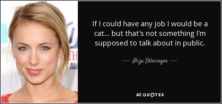 If I could have any job I would be a cat... but that's not something I'm supposed to talk about in public. - Iliza Shlesinger