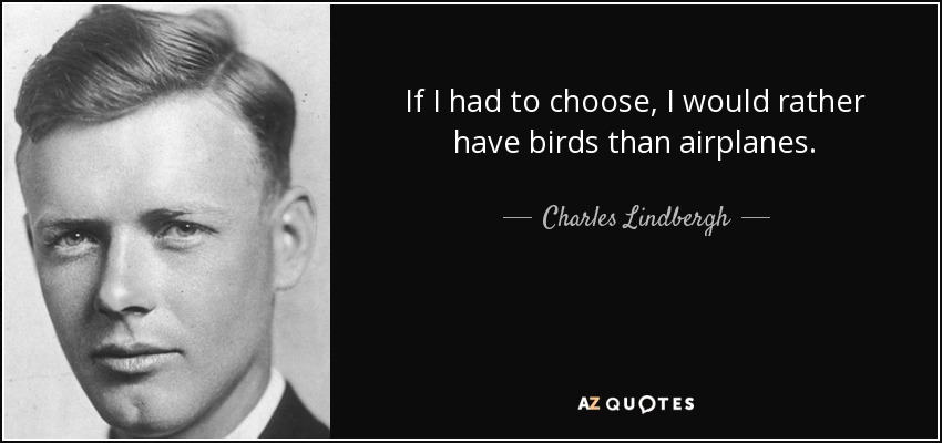 If I had to choose, I would rather have birds than airplanes. - Charles Lindbergh