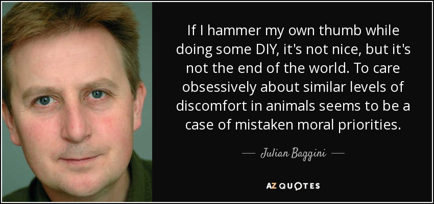 If I hammer my own thumb while doing some DIY, it's not nice, but it's not the end of the world. To care obsessively about similar levels of discomfort in animals seems to be a case of mistaken moral priorities. - Julian Baggini