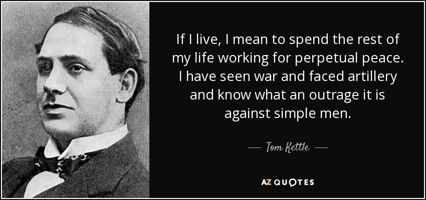 If I live, I mean to spend the rest of my life working for perpetual peace. I have seen war and faced artillery and know what an outrage it is against simple men. - Tom Kettle