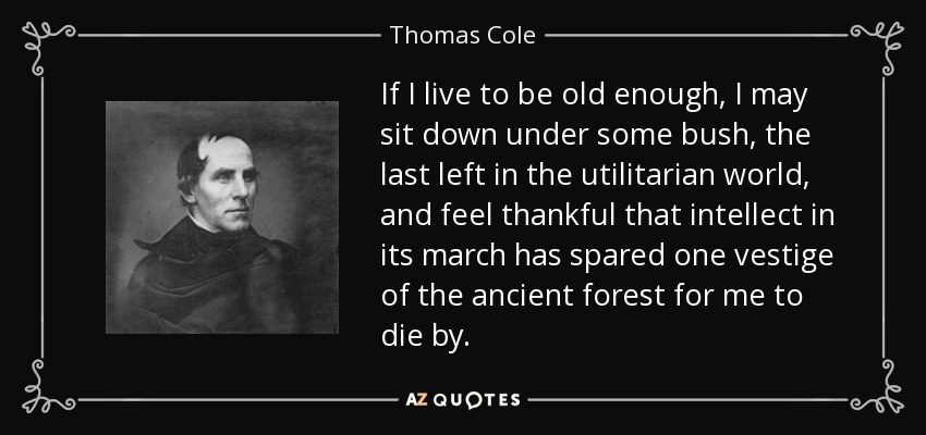 If I live to be old enough, I may sit down under some bush, the last left in the utilitarian world, and feel thankful that intellect in its march has spared one vestige of the ancient forest for me to die by. - Thomas Cole