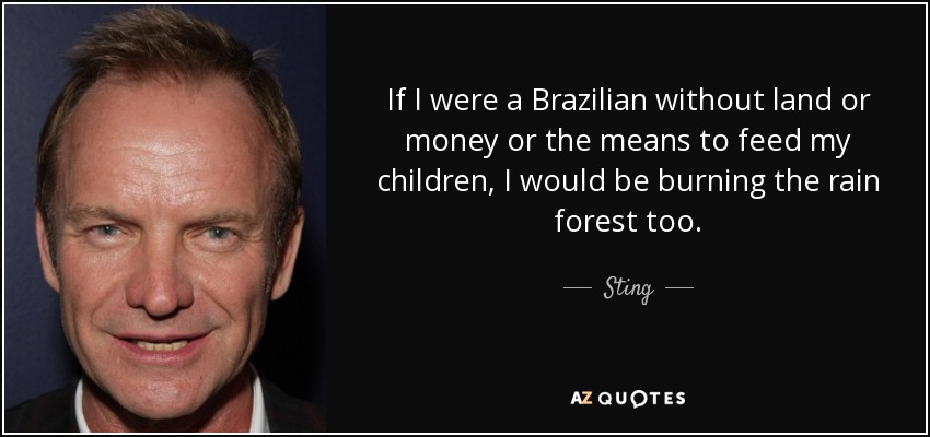 If I were a Brazilian without land or money or the means to feed my children, I would be burning the rain forest too. - Sting