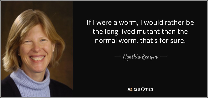 If I were a worm, I would rather be the long-lived mutant than the normal worm, that's for sure. - Cynthia Kenyon