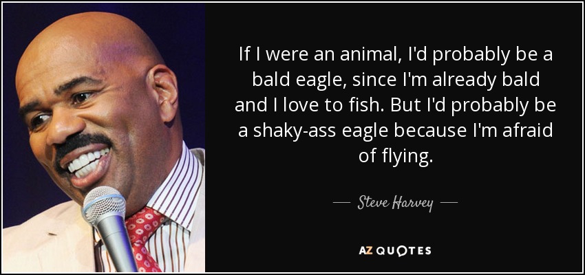 If I were an animal, I'd probably be a bald eagle, since I'm already bald and I love to fish. But I'd probably be a shaky-ass eagle because I'm afraid of flying. - Steve Harvey