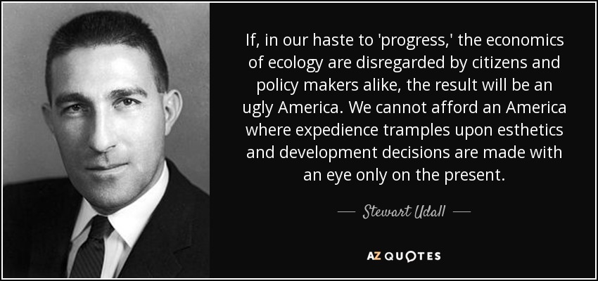If, in our haste to 'progress,' the economics of ecology are disregarded by citizens and policy makers alike, the result will be an ugly America. We cannot afford an America where expedience tramples upon esthetics and development decisions are made with an eye only on the present. - Stewart Udall