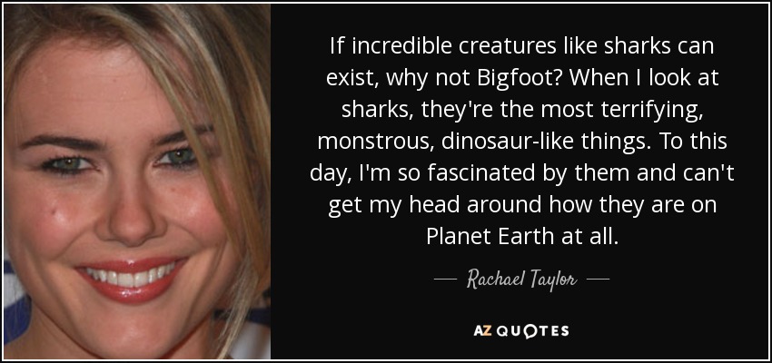 If incredible creatures like sharks can exist, why not Bigfoot? When I look at sharks, they're the most terrifying, monstrous, dinosaur-like things. To this day, I'm so fascinated by them and can't get my head around how they are on Planet Earth at all. - Rachael Taylor