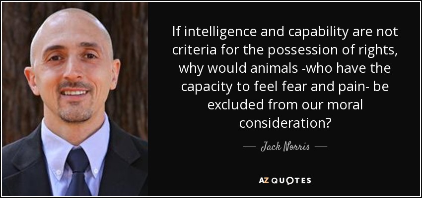 If intelligence and capability are not criteria for the possession of rights, why would animals -who have the capacity to feel fear and pain- be excluded from our moral consideration? - Jack Norris